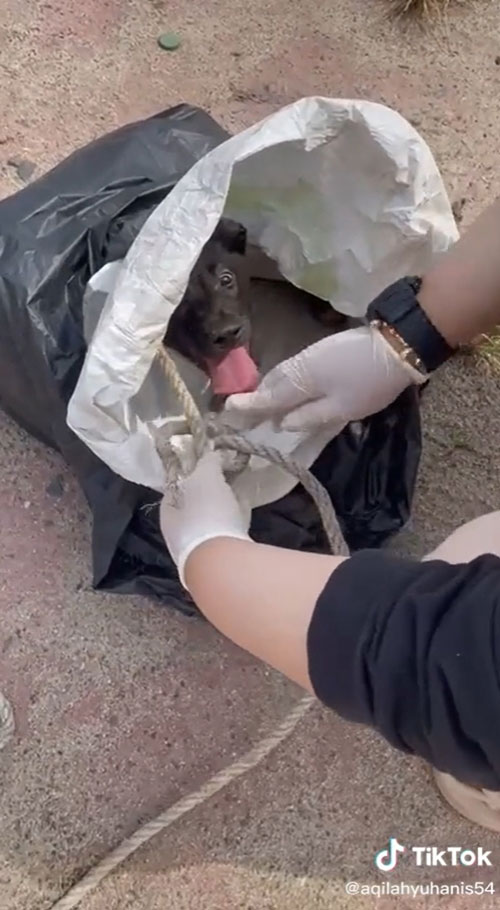 สาวน้ำตาร่วง เปิดถุงดำถูกมัดปาก เจอชีวิตน้อย สาวน้ำตาร่วง เปิดถุงดำถูกมัดปาก เจอชีวิตน้อย