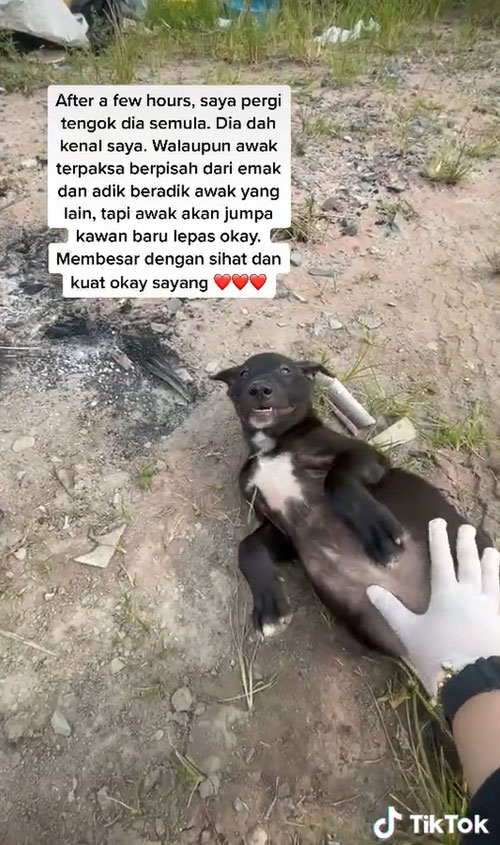 สาวน้ำตาร่วง เปิดถุงดำถูกมัดปาก เจอชีวิตน้อย สาวน้ำตาร่วง เปิดถุงดำถูกมัดปาก เจอชีวิตน้อย