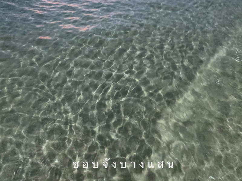 ชายหาดบางแสน หาดบางแสน