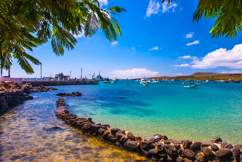 หมู่เกาะกาลาปากอส หมู่เกาะกาลาปากอส
