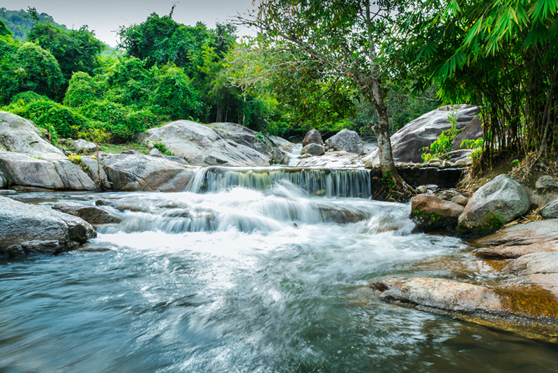 สวนผึ้ง สวนผึ้ง