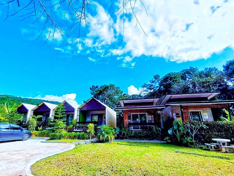 ที่พักดอยอินทนนท์ ที่พักดอยอินทนนท์