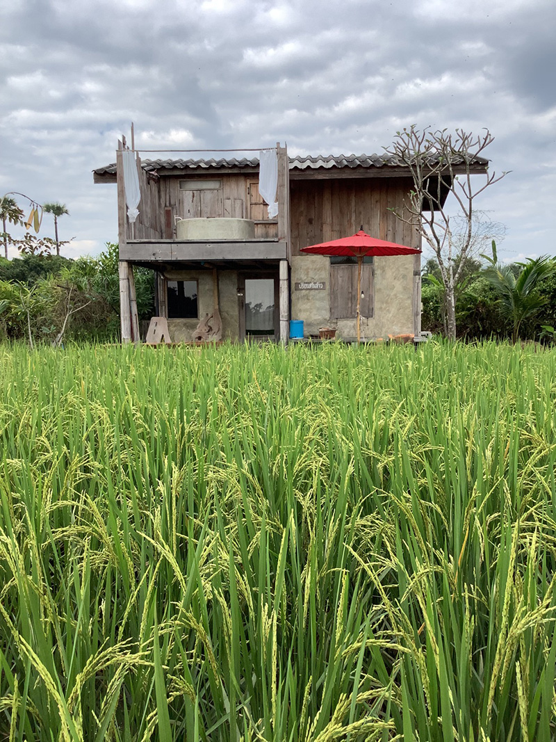 ที่พักดอยอินทนนท์ ที่พักดอยอินทนนท์