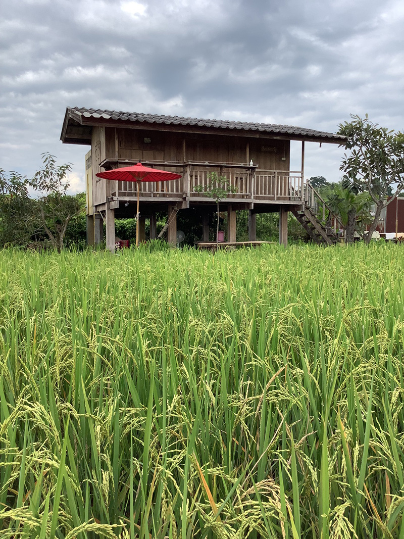 ที่พักดอยอินทนนท์ ที่พักดอยอินทนนท์