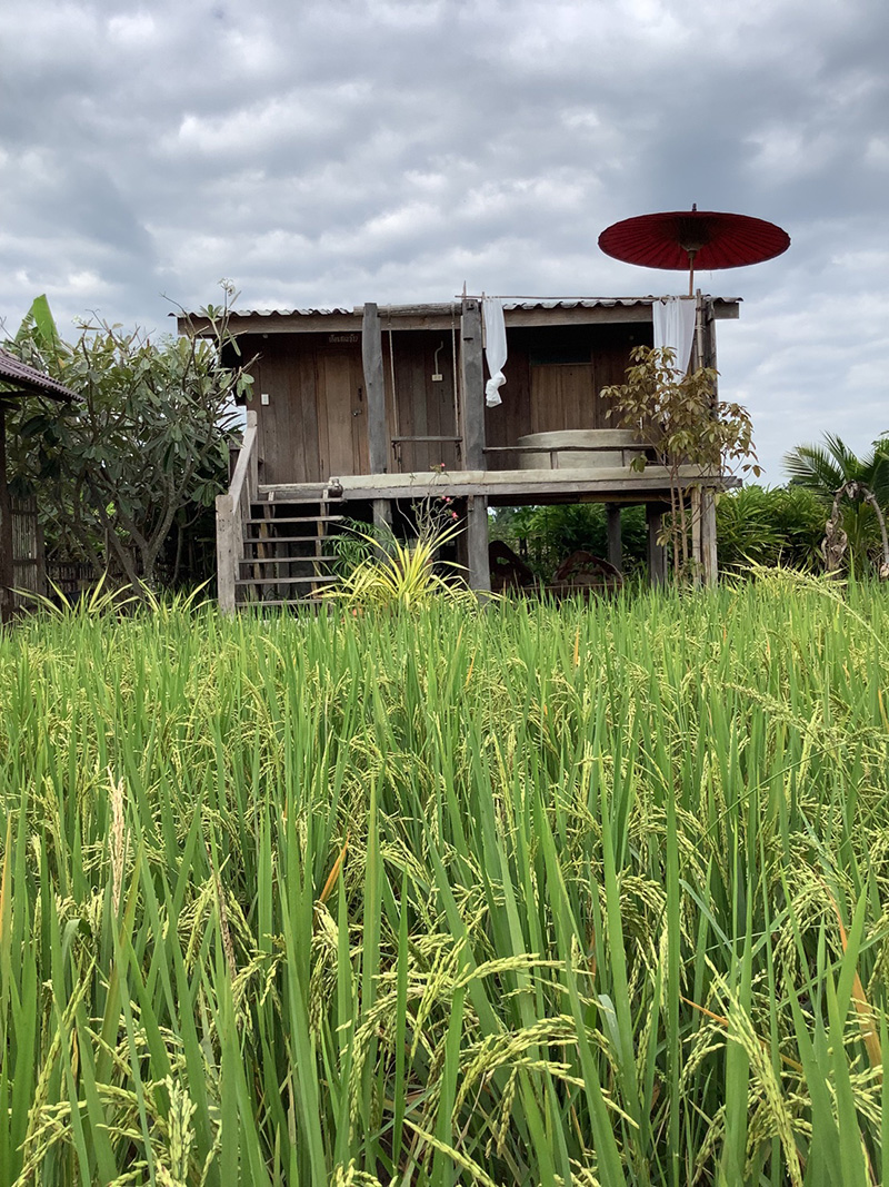 ที่พักดอยอินทนนท์ ที่พักดอยอินทนนท์