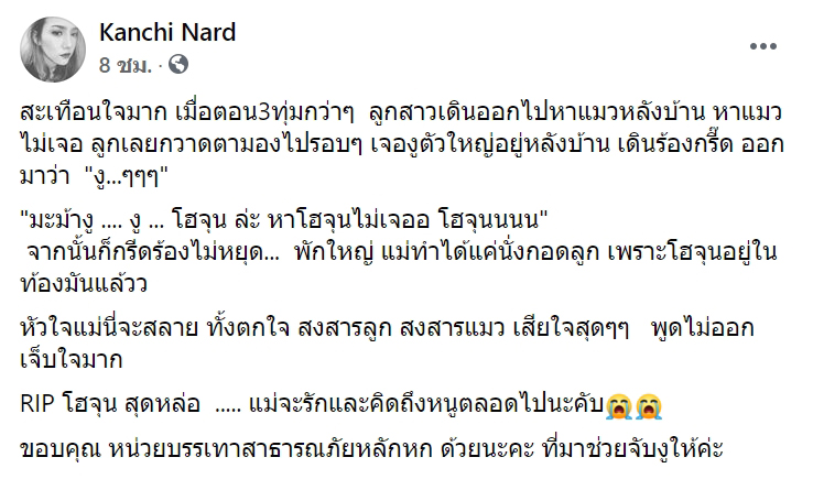 งูกินแมว งูกินแมว