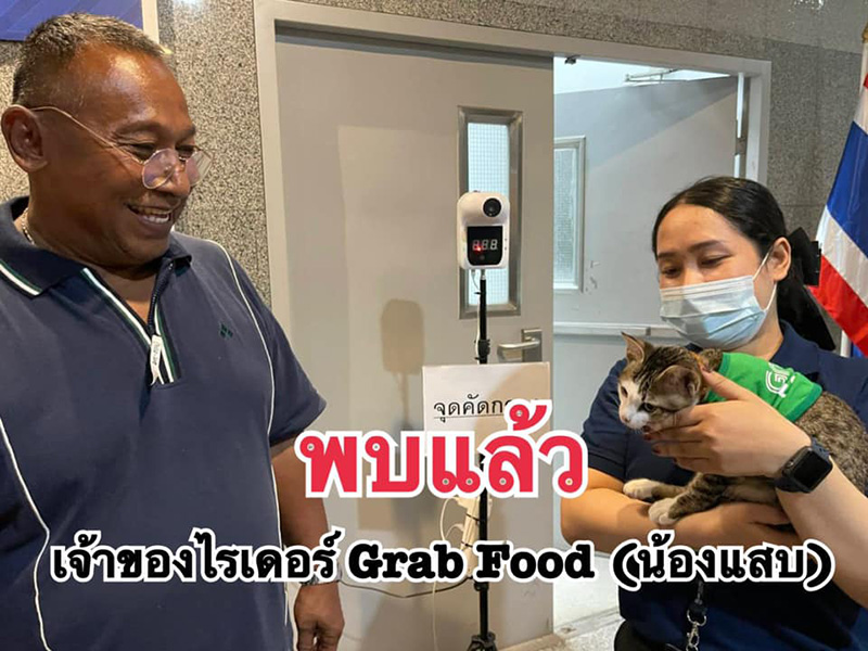 แมวหาย แมวหาย