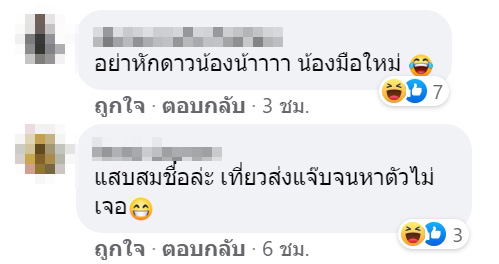 แมวหาย แมวหาย