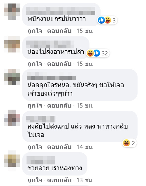 แมวหาย แมวหาย