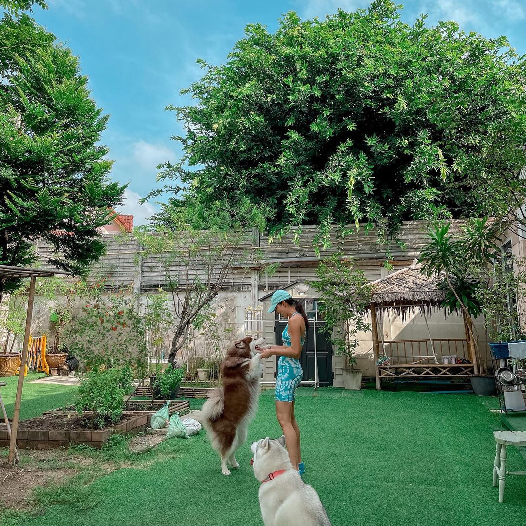 บ้าน แพนเค้ก เขมนิจ บ้าน แพนเค้ก เขมนิจ