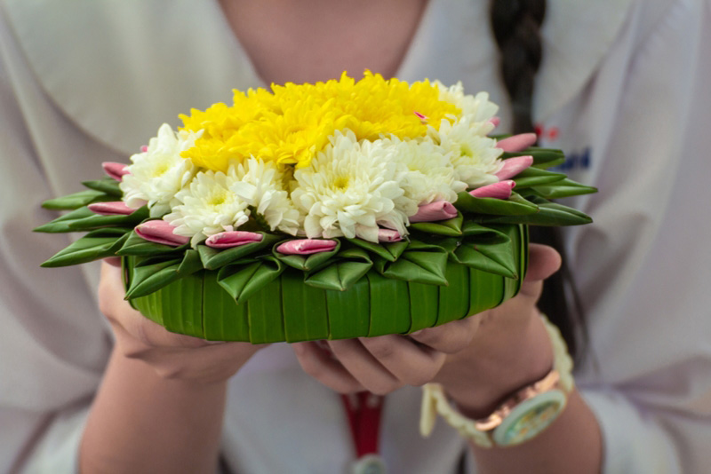 กำจัดคราบยางกล้วย กำจัดคราบยางกล้วย