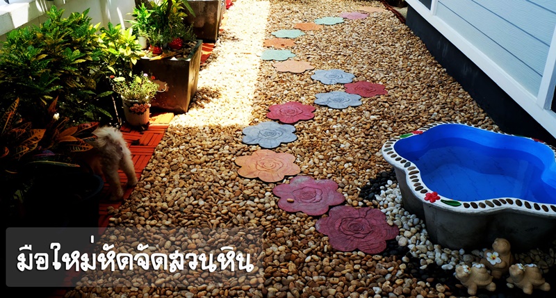 จัดสวนหินข้างบ้าน จัดสวนหินข้างบ้าน