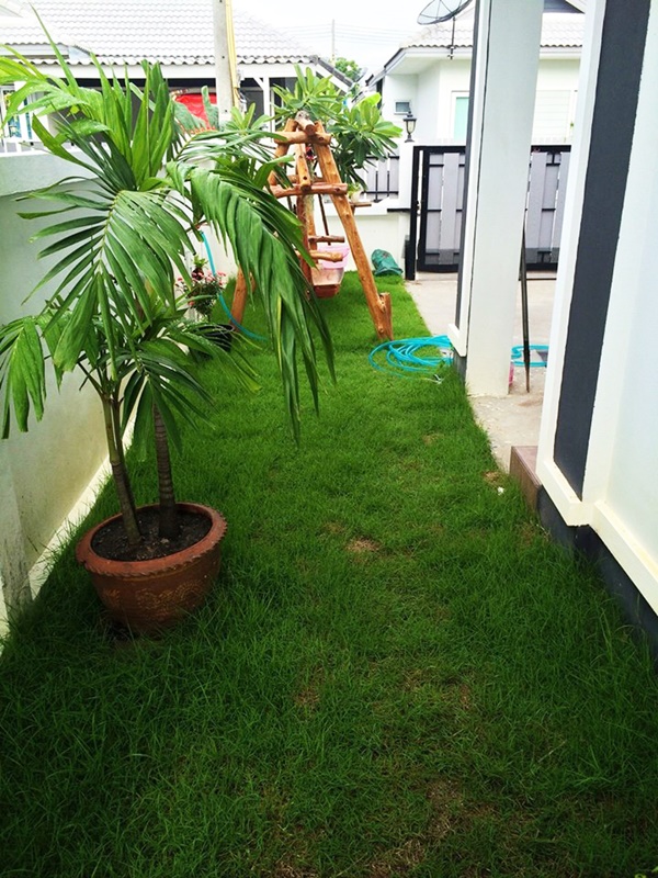 จัดสวนหินข้างบ้าน จัดสวนหินข้างบ้าน