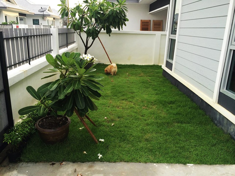 จัดสวนหินข้างบ้าน จัดสวนหินข้างบ้าน