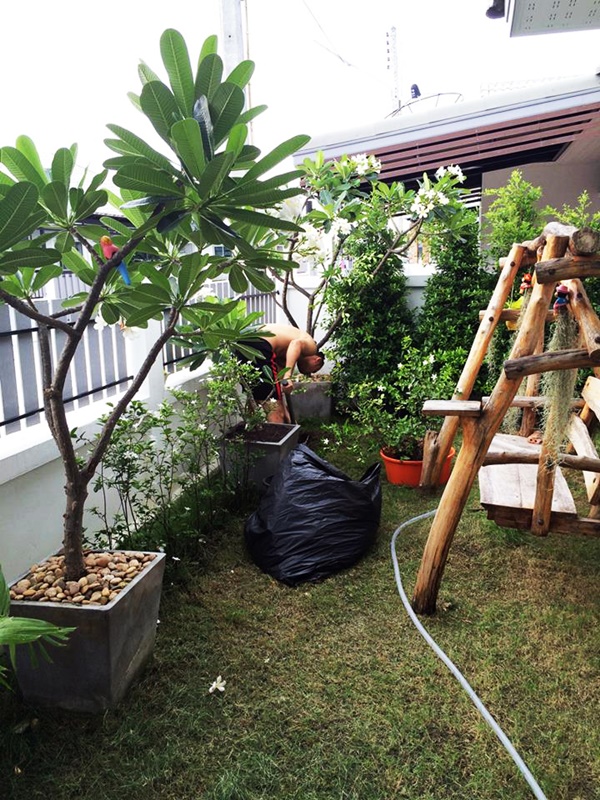 จัดสวนหินข้างบ้าน จัดสวนหินข้างบ้าน