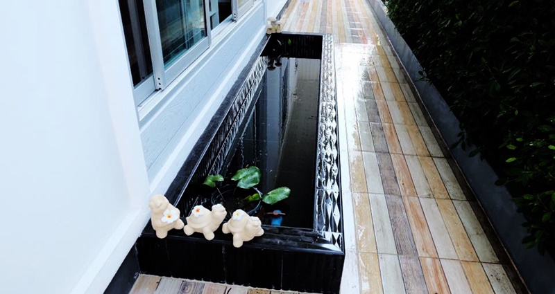 จัดสวนหินข้างบ้าน จัดสวนหินข้างบ้าน