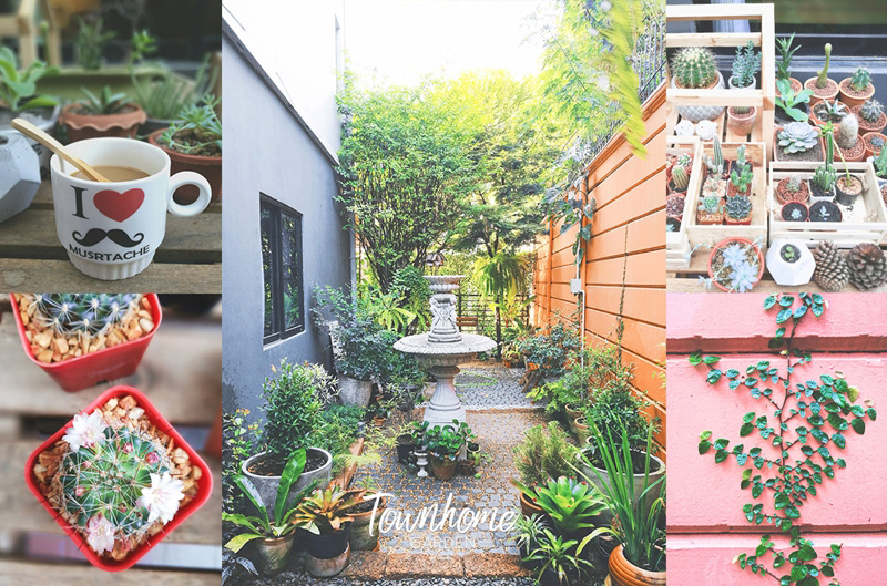 จัดสวนข้างบ้านทาวน์โฮม จัดสวนข้างบ้านทาวน์โฮม