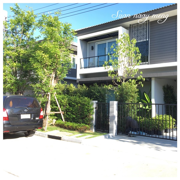 จัดสวนหน้าบ้านพื้นที่น้อย จัดสวนหน้าบ้านพื้นที่น้อย