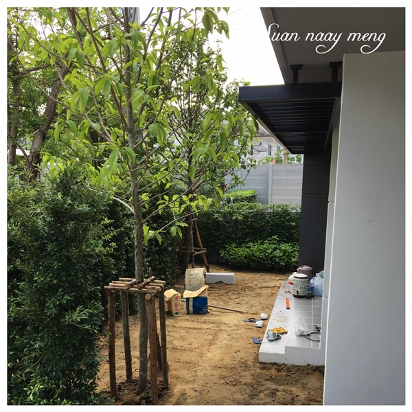 จัดสวนหน้าบ้านพื้นที่น้อย จัดสวนหน้าบ้านพื้นที่น้อย