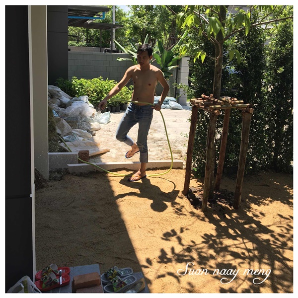 จัดสวนหน้าบ้านพื้นที่น้อย จัดสวนหน้าบ้านพื้นที่น้อย