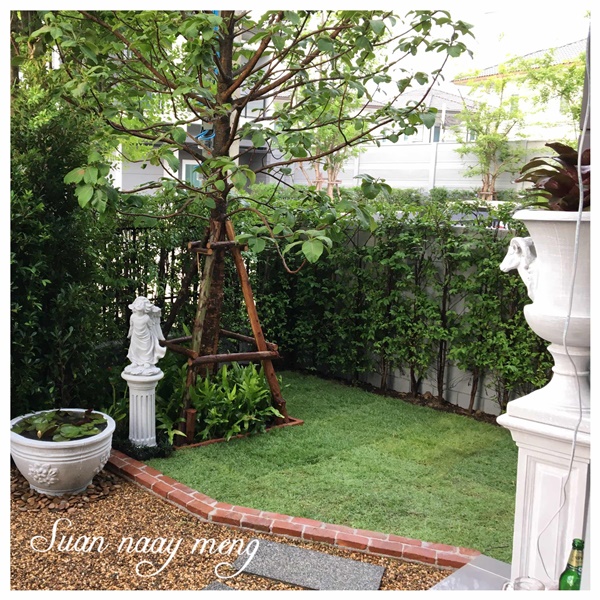จัดสวนหน้าบ้านพื้นที่น้อย จัดสวนหน้าบ้านพื้นที่น้อย