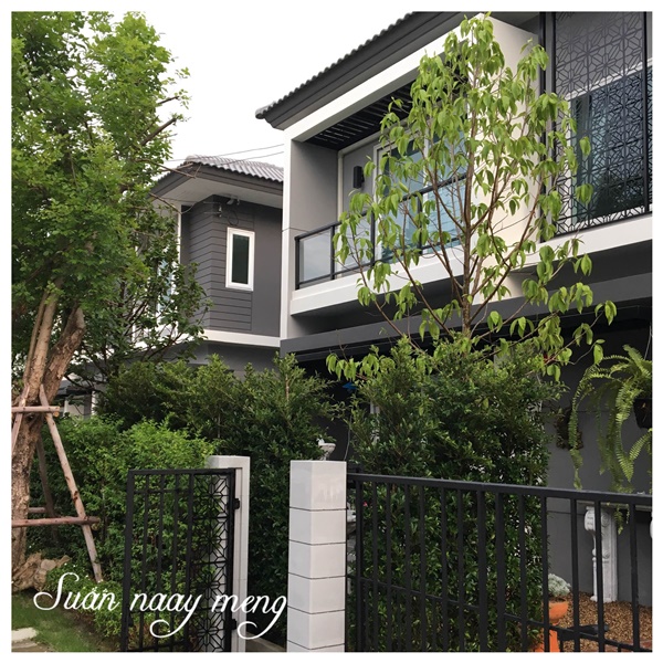 จัดสวนหน้าบ้านพื้นที่น้อย จัดสวนหน้าบ้านพื้นที่น้อย