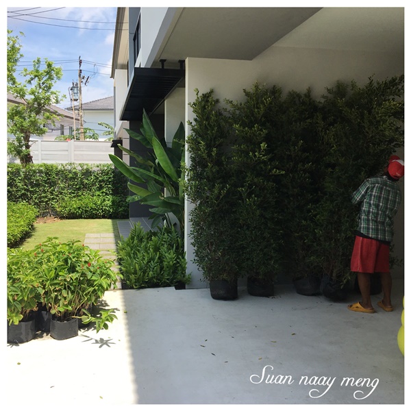 จัดสวนหน้าบ้านพื้นที่น้อย จัดสวนหน้าบ้านพื้นที่น้อย