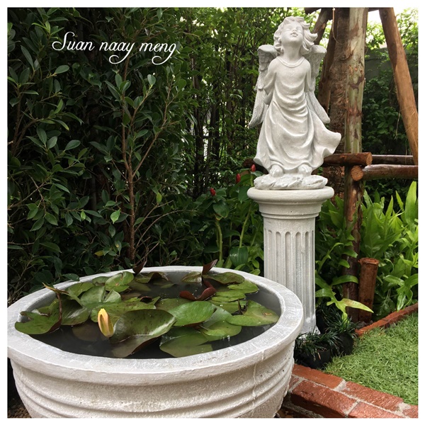 จัดสวนหน้าบ้านพื้นที่น้อย จัดสวนหน้าบ้านพื้นที่น้อย