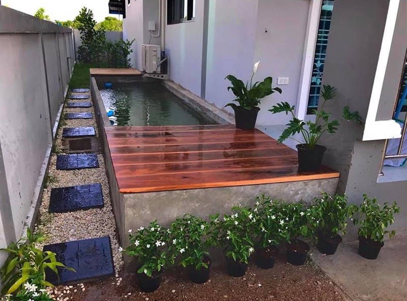 ทำบ่อปลาคาร์พสวนข้างบ้าน ทำบ่อปลาคาร์พสวนข้างบ้าน