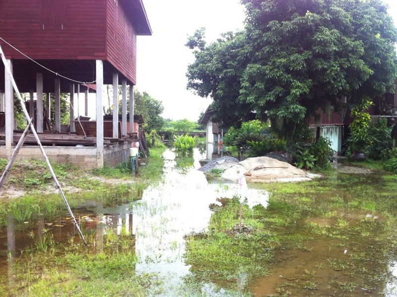 แบบบ้านครึ่งปูนครึ่งไม้ แบบบ้านครึ่งปูนครึ่งไม้