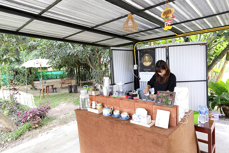 แบบร้านกาแฟโครงสร้างเหล็ก แบบร้านกาแฟโครงสร้างเหล็ก