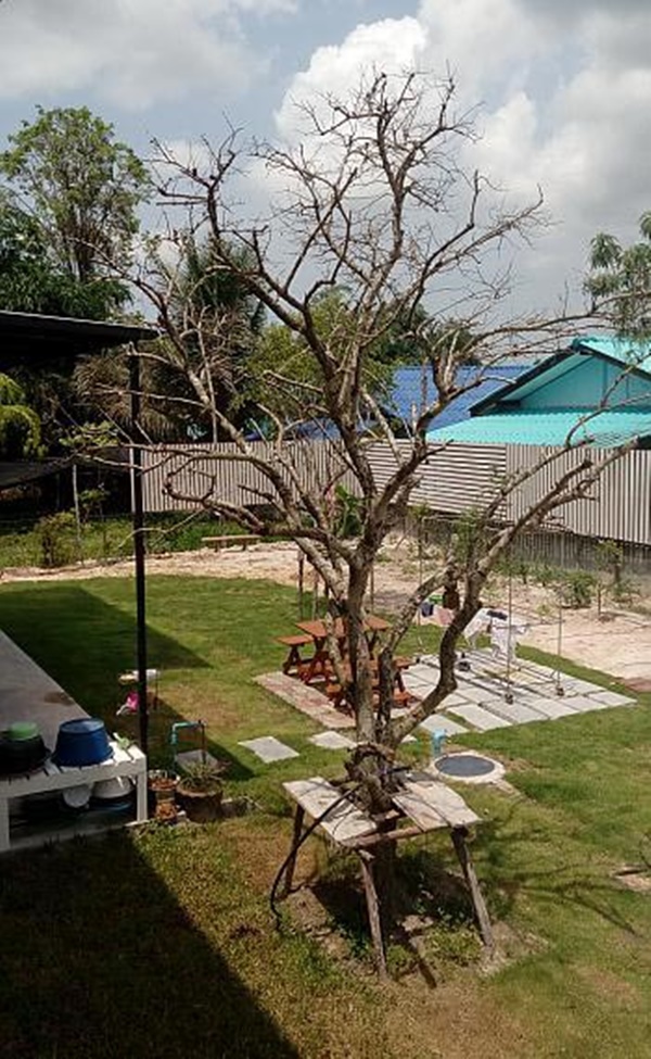 บ้านปูนเปลือย 2 ชั้น บ้านปูนเปลือย 2 ชั้น