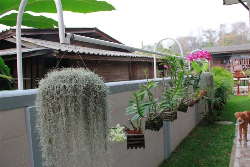 บ้านไทยประยุกต์ บ้านไทยประยุกต์