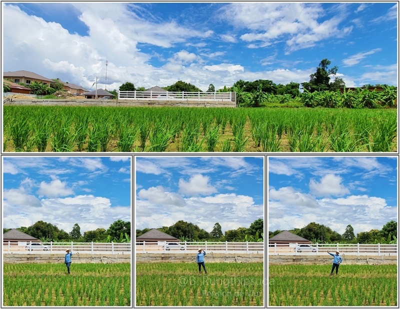 บ้านมินิมอลชั้นเดียว 2 ห้องนอน 1 ห้องน้ำ บ้านมินิมอลชั้นเดียว 2 ห้องนอน 1 ห้องน้ำ