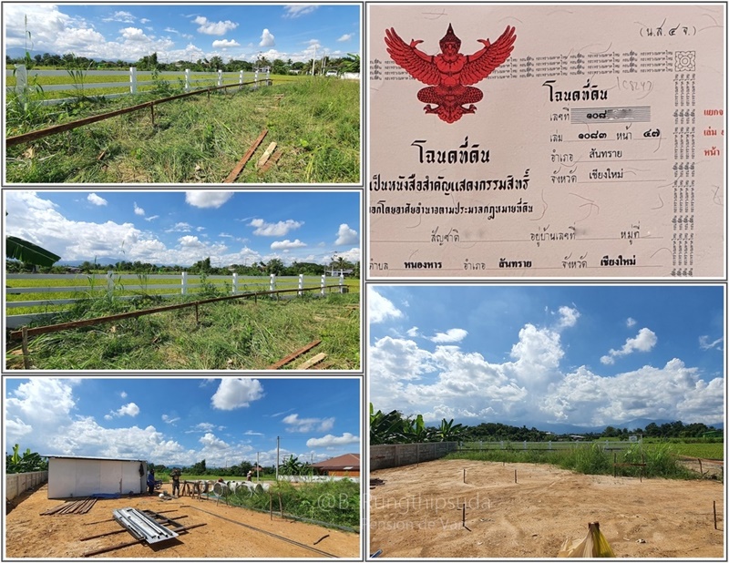 บ้านมินิมอลชั้นเดียว 2 ห้องนอน 1 ห้องน้ำ บ้านมินิมอลชั้นเดียว 2 ห้องนอน 1 ห้องน้ำ