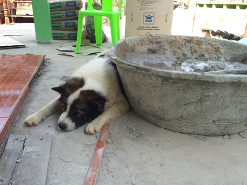 สร้างห้องครัวปูน สร้างห้องครัวปูน