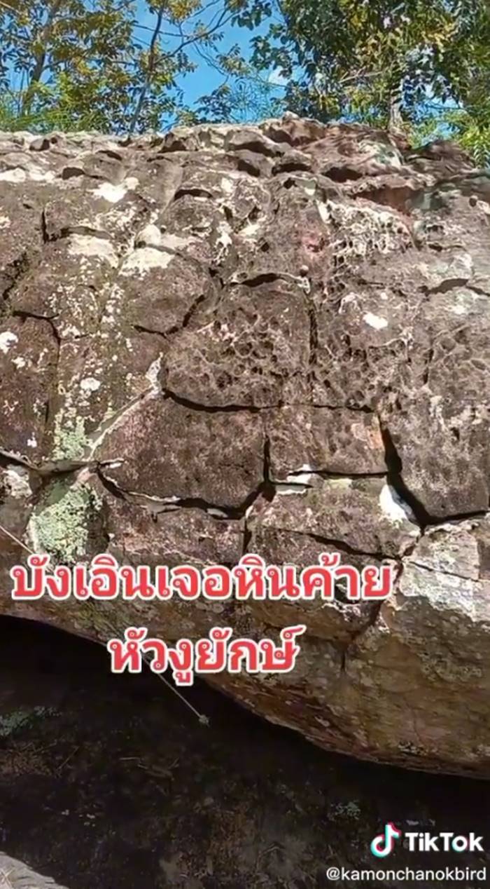 หินหัวงูกาฬสินธุิ์ หินหัวงูกาฬสินธุิ์