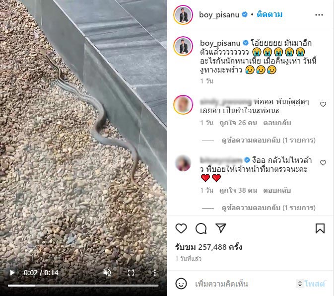 บอย พิษณุ เจองูบุกบ้าน 2 วันติด คอหวยแห่ขอเลขที่บ้าน งูเข้าบ้านบอย พิษณุ