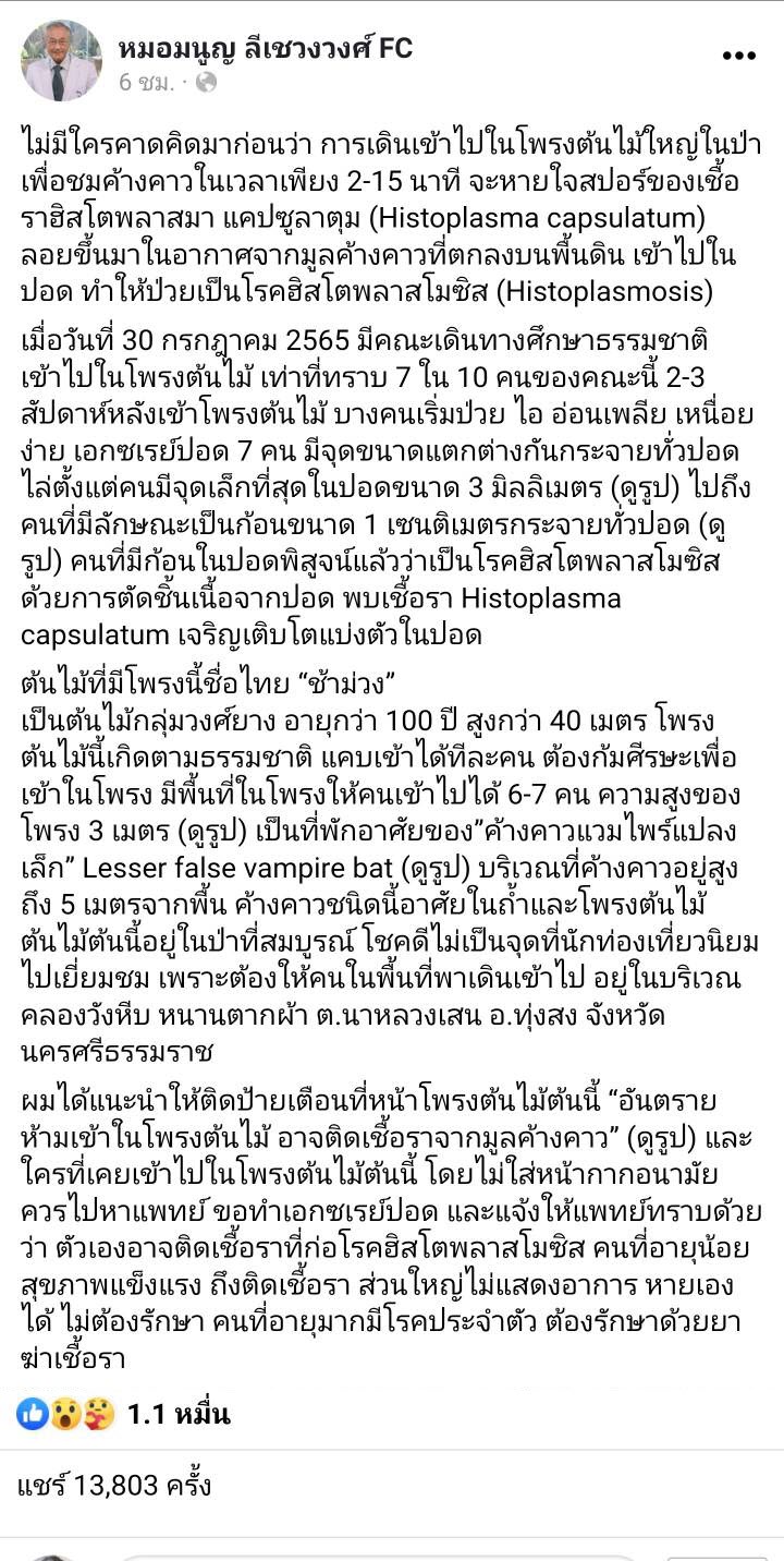 เชื้อรามูลค้างคาว เชื้อรามูลค้างคาว