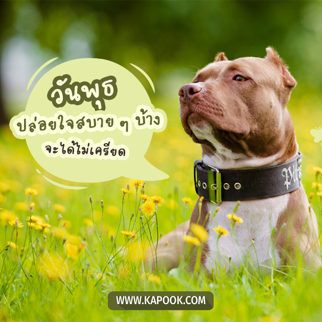 ดูดวงรายวัน ดูดวงรายวัน