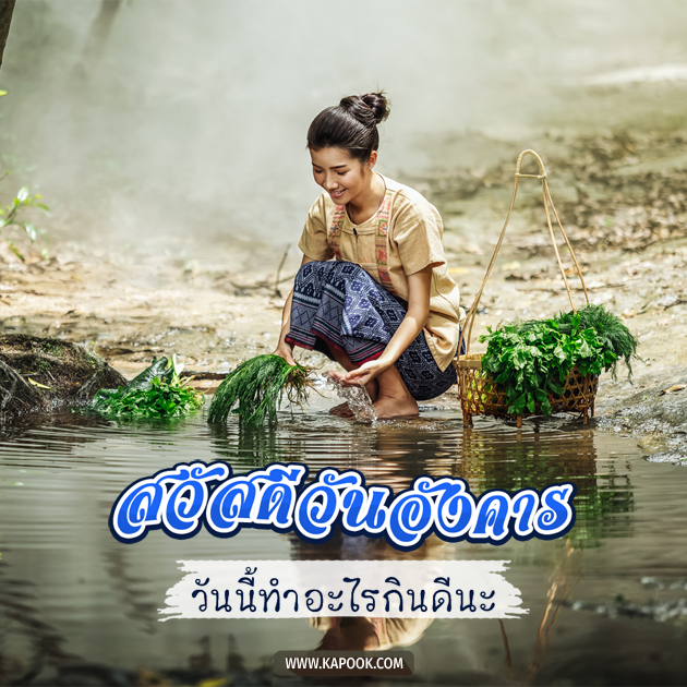 ดูดวงรายวัน ดูดวงรายวัน