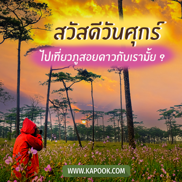 ดูดวงรายวัน ดูดวงรายวัน