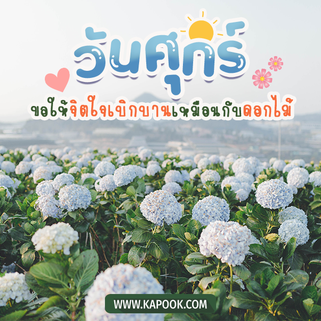 ดูดวงรายวัน ดูดวงรายวัน