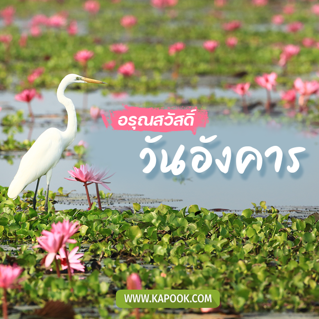 ดูดวงรายวัน ดูดวงรายวัน