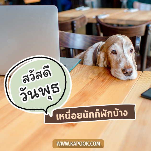 ดูดวงรายวัน ดูดวงรายวัน