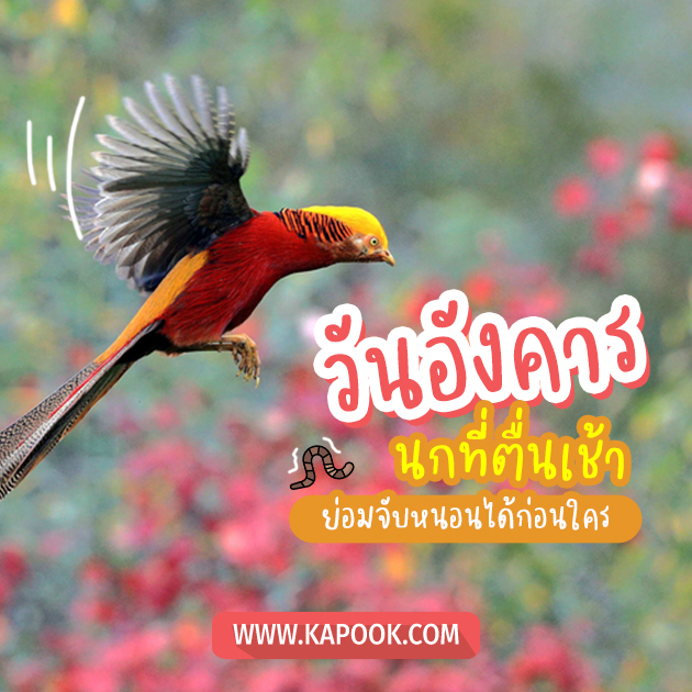 ดูดวงรายวัน ดูดวงรายวัน
