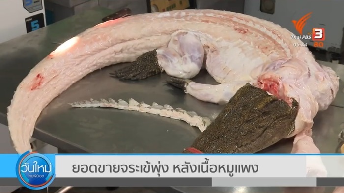 เนื้อจระเข้ เนื้อจระเข้