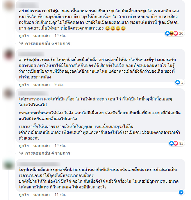 หมากินกระดูก หมากินกระดูก