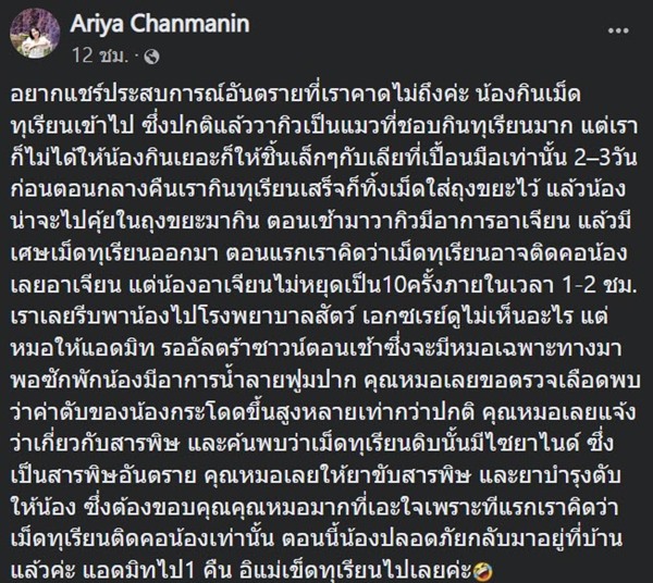 แมวกินทุเรียน แมวกินทุเรียน