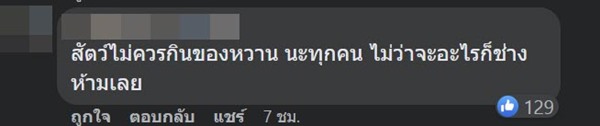 แมวกินทุเรียน แมวกินทุเรียน